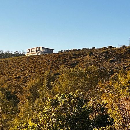Die Uitzicht Guesthouse - 나이스나 외부 사진
